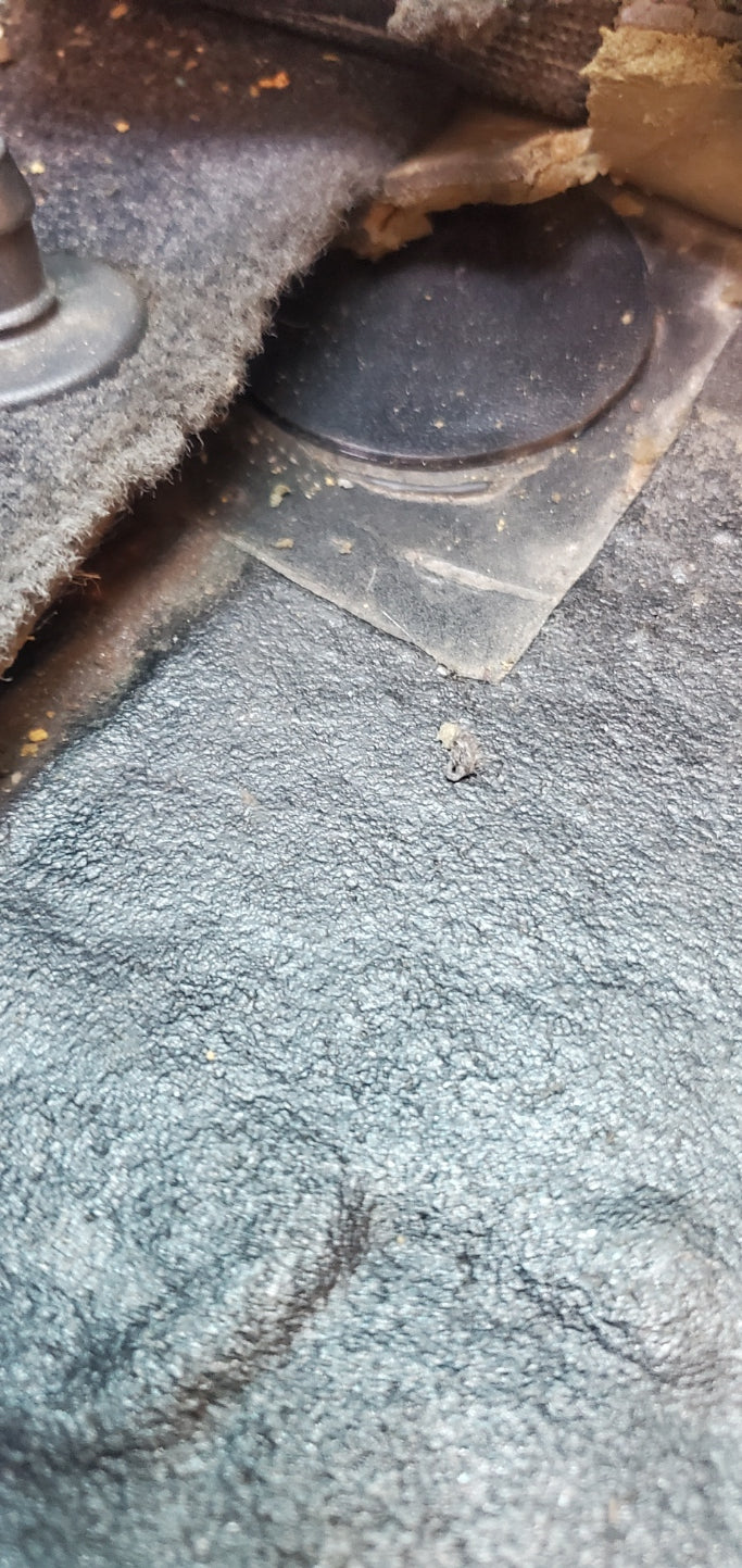 Audi D2 Rear O2 Sensor Delete Grommet Plug